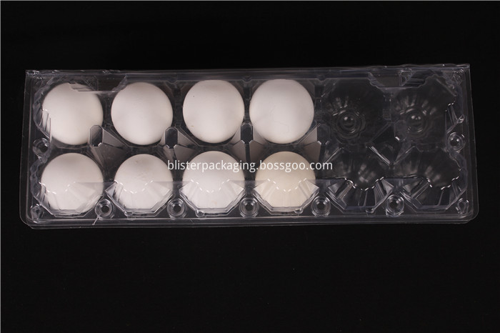 Clear Egg Storage Container