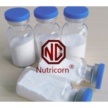 Economical Cosmetic Garde &amp; Food Grade Sodium Hyaluronate Fornecedor