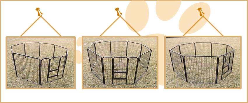 dog playpen