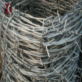 strands twist  stainless steel barbed wire roll