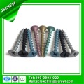 Couleurs Peinture Flat Head Drywall Screw