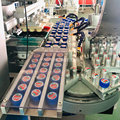 Automatic plastic caps pad printing machine