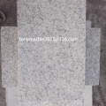 Stein-Skulptur Graue Marmorplatten für Bodendekoration (SY-MS001)