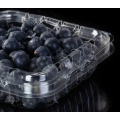 Plastic Blueberry Box for Fruit Supermarket