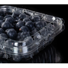 Plastic Blueberry Box for Fruit Supermarket