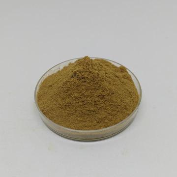 Ganoderma lucidum-Extrakt Ganoderma lucidum-Polysaccharide