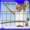 High Quality PVC Coated Holland Wire Mesh Fence with (CE and SGS)