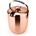 Stainless Steel Ice Bucket Set