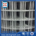 Galvanized before Welded Wire Mesh