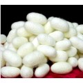 Eco-Friendly Fresh Natural Silk Beauty Cocoons pour le gommage facial