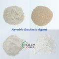 Good Quality Bacteria Agent for Sewage