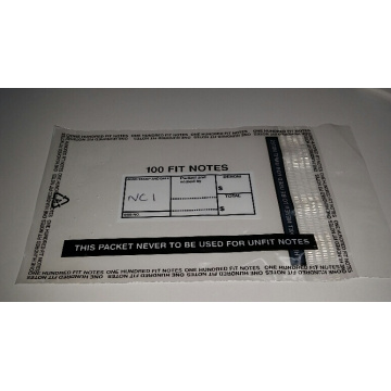 Tamper Proof Plastic Security Bags