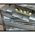 Automatische gekochte Wachtel Ei Peeler Peeling Shelling Processing Machine