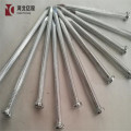 Electro Galvanized Concrete Nails and Steel Nails