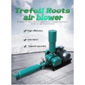 STP Aeration Roots Blower