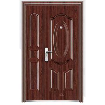 Modern Steel home doors