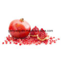 Best Pomegranate Shell and Seed Separating Machine