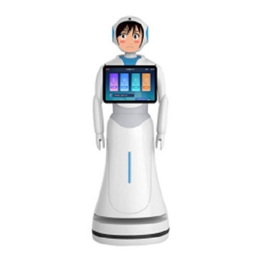 Hotel Robots Interactive with People