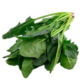 Spot Pusnect Natural Freeze Powder Spinach