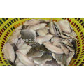 Frozen Tilapia fillet fish skinless boneless pbo