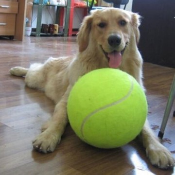 Brinquedos gigantes do animal de estimação da bola de tênis do cão para o cão