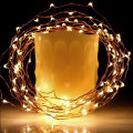 Warm White Color Copper Wire LED String Light