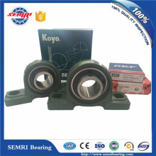 Preço de rolamento competitivo (UCP212) Koyo NSK Pillow Block Bearing