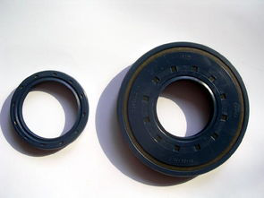 oil seal 3