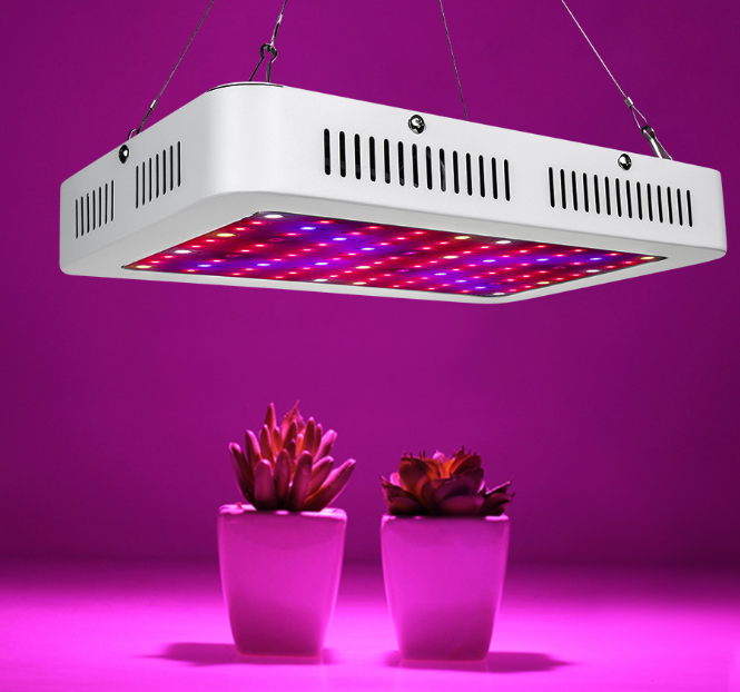 grow lights