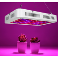 600W LED Grow Light 3rd Generation Full Spectrum