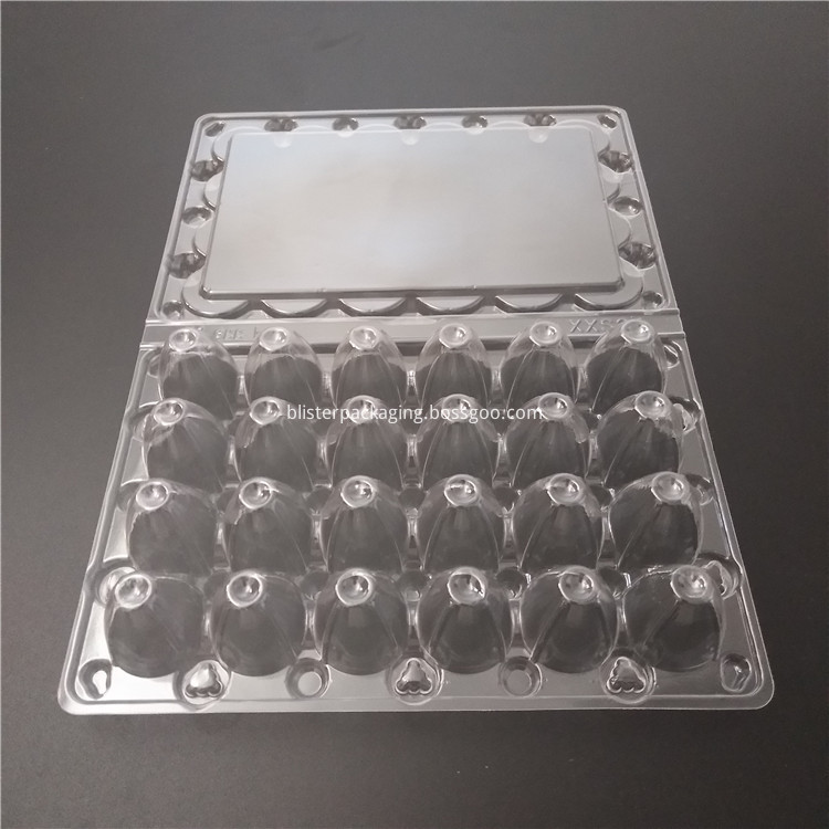 quail egg trays hot sale