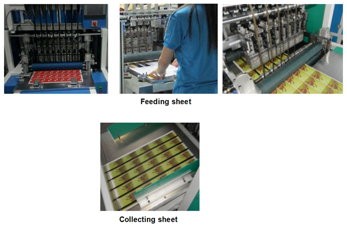 Detail of Magnetic Strip Module Mounting Machine