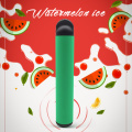 Wholesale Mint Cool Disposable Vape Pen E-Cigarette