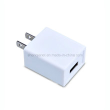 5V 2A USB Wall Charger for Mobile Phones