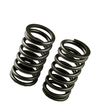 the trustworthy compression spring