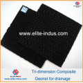 HDPE Geonet Composite Geotextile Flownet Drainage Media