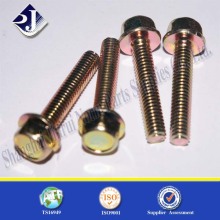 gold zinc hex flange bolt