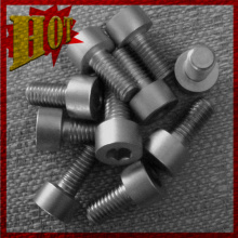 Customized Titanium Alloy Screw for Sale