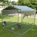 Large Outdoor Dog Cage