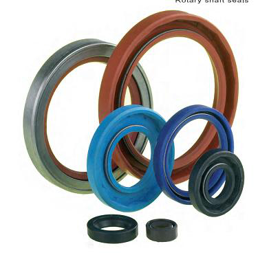 oil seal