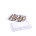 Wholesale 12 cells clear plastic quail egg tray