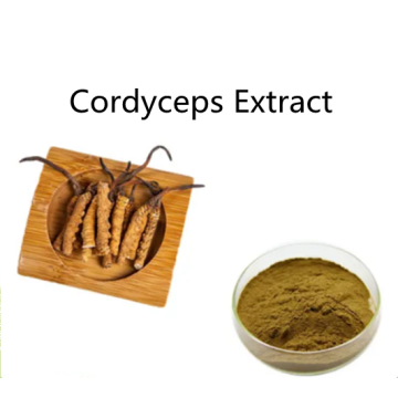 Compre ingredientes activos en línea Cordyceps Extract Powder