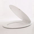 Modern Intelligent Toilet Heated Plastic Toilet Seat Cover