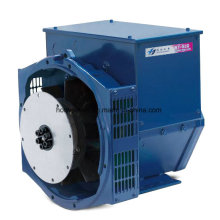 Alternateurs de courant à haute tension Sychronous brushless (4504-4 720kw / 1500rpm)