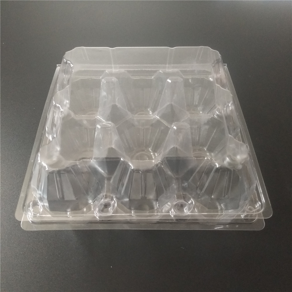 clear large egg cartons