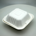 bagasse food container disposable tableware bagasse lunch box