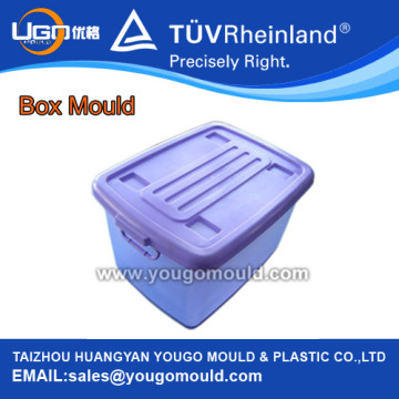 Storage Plastic Box Molds