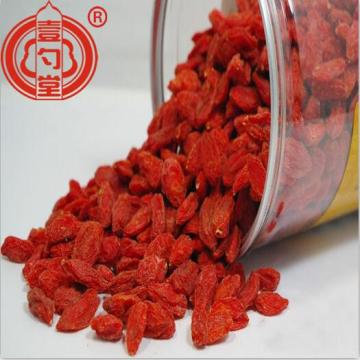 Bulk Dried Goji Berries Fruit With Sweet Taste