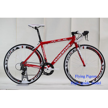 700C Sports Bike, Track Bicycle (FP-SPB-02)