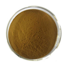 organic ginkgo biloba extract 100% pure